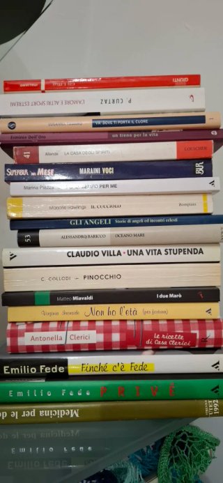 La vita istruzioni per l'uso