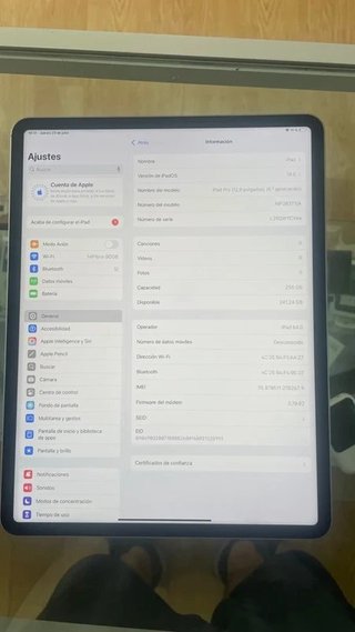 iPad Pro 12.9 6ª Gen 256GB Wifi+Cel