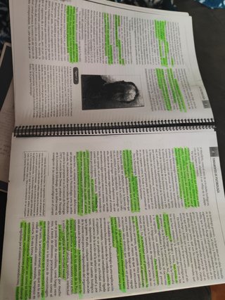 Fundamentos de Psicobiología -UNED