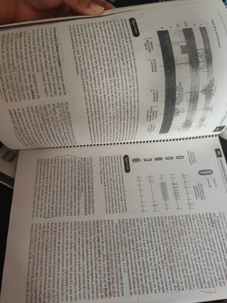 Fundamentos de Psicobiología -UNED