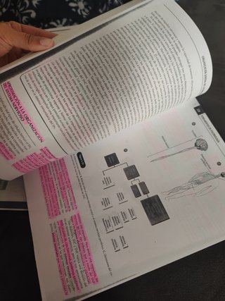 Fundamentos de Psicobiología -UNED