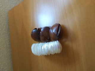 Pulseras estilo étnico:de madera y otra nacararada