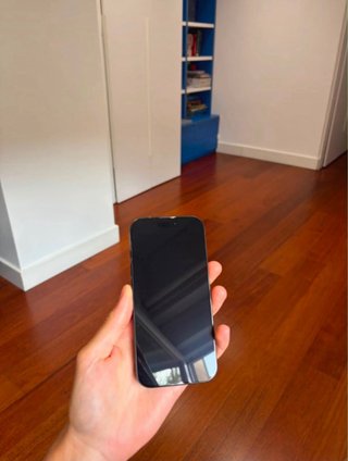 iPhone 16 Pro Nero/Grigio
