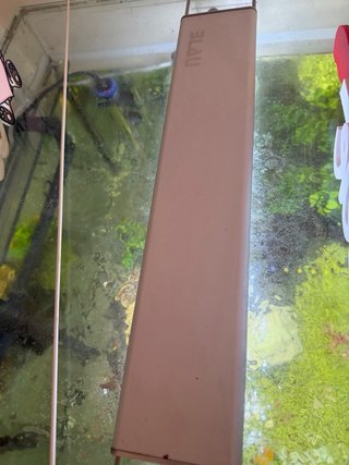 Acuario Tropical con Mueble Gris