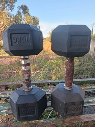 2 Mancuernas 10kg