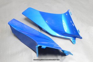 Oferta especial Carenado para HONDA CBR 600RR 2005