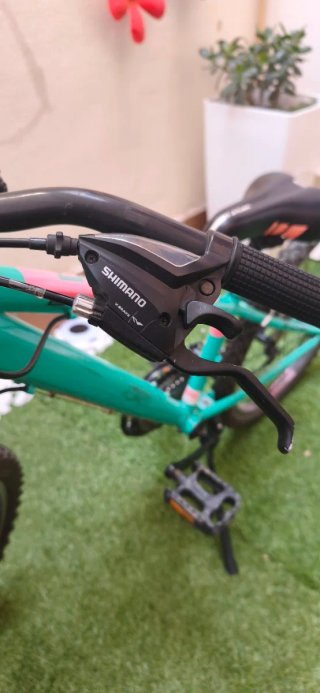 Bicicleta 24", para 6-10 años