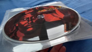 Arkimed L'ultimo dei Mohicani Picture Disc 2004