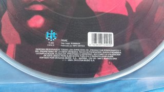 Arkimed L'ultimo dei Mohicani Picture Disc 2004