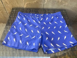 Bañador Zara Estampado Loros Azul