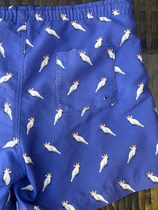 Bañador Zara Estampado Loros Azul
