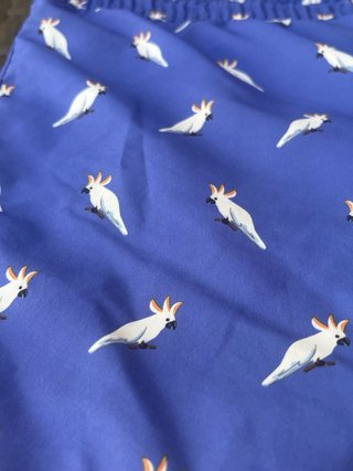 Bañador Zara Estampado Loros Azul