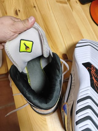 Zapatillas Baloncesto Nike LeBron NXXT