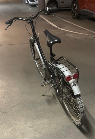Bicicleta de paseo para adulto TOPLIFE Rodado 26