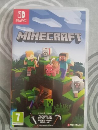 Minecraft Nintendo Switch