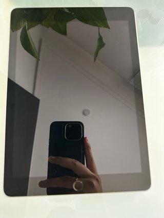 Apple iPad 6ª Gen Plata