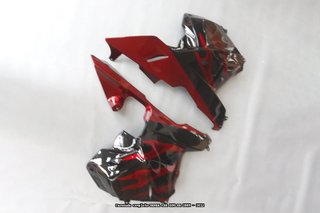 Oferta especial Carenado para HONDA CBR600RR 2009
