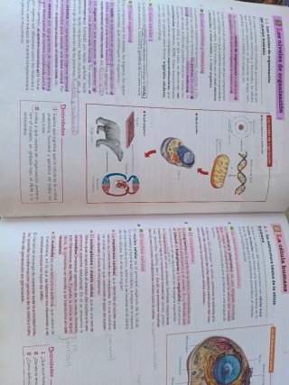 Anatomía aplicada Bachillerato 1