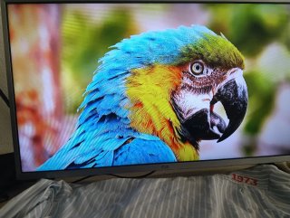 Smart TV LG 32 pulgadas