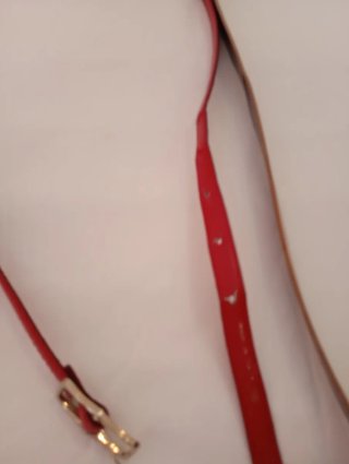 Cintura rossa con fibbia dorata