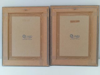 Pack 2 cuadros floreros