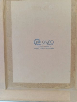 Pack 2 cuadros floreros