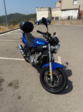 Suzuki GS 500 Azul pegatina C