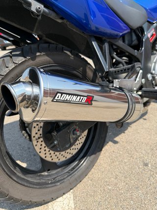 Suzuki GS 500 Azul pegatina C