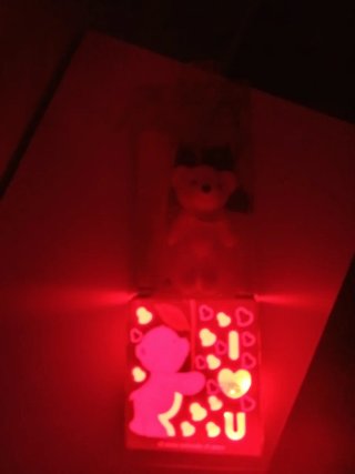Oso de peluche con rosas y luces