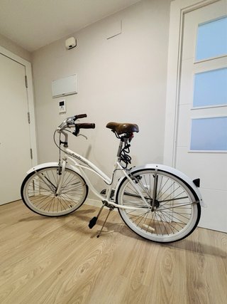 Bicicleta de paseo