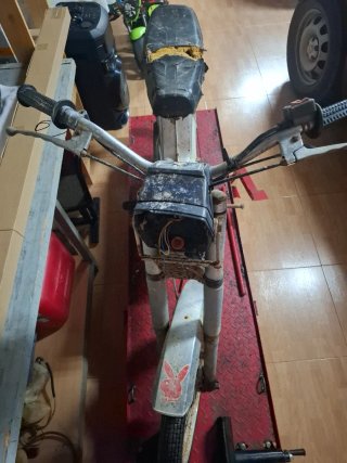 Derbi Variant