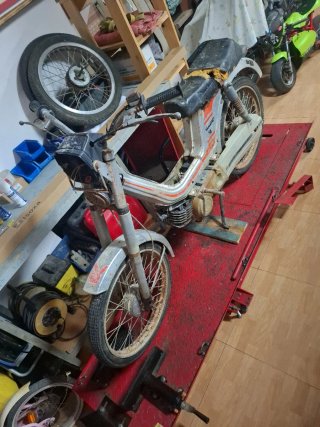 Derbi Variant
