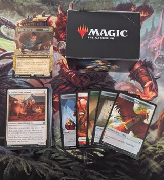 Sokka, Táctico Tenaz MTG Carta
