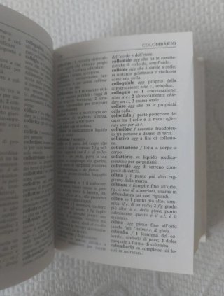 Dizionario della lingua italiana