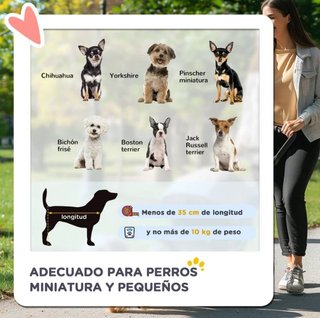 Carrito Perro Pequeño Cesta Plegable