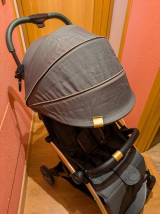 Silla de paseo Chicco Goody Plus apta para avión