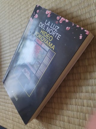 La luz del norte