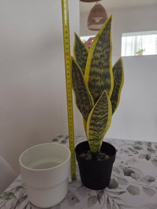 Planta Lengua de Suegra Artificial