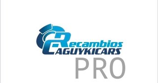 Elevalunas polo golf Passat 103840 nuevo