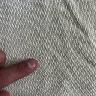Polo Lacoste giallo chiaro