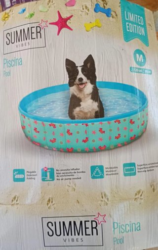 Piscina para perro