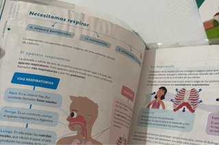 Libros conocimiento del medio. 6 primaria.