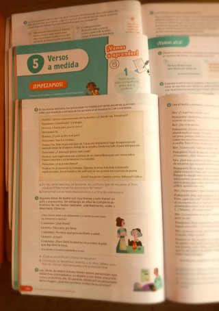 Lengua Castellana y Literatura . 6 Primaria. Tr...