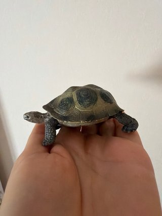 Tortuga Schleich