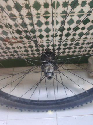 Rueda Trasera 29 Hutchinson Toro