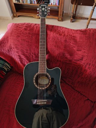 Guitarra Electroacústica Washburn WD10SCEB