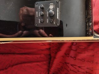 Guitarra Electroacústica Washburn WD10SCEB