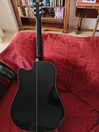 Guitarra Electroacústica Washburn WD10SCEB
