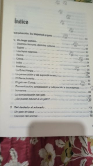 El Encantador de gatos