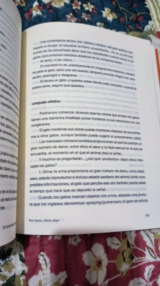 El Encantador de gatos